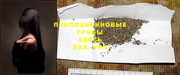 spice Краснослободск