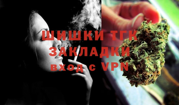 spice Краснослободск
