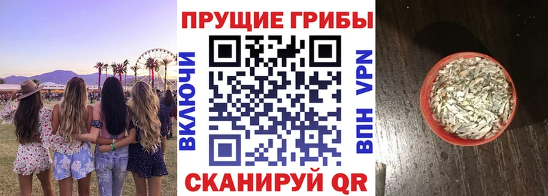 Галлюциногенные грибы Psilocybe  Лагань 